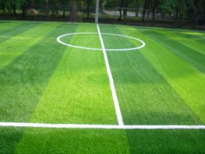 足球場人造草坪生產廠家-- 滄州昌冠體育設施有限公司