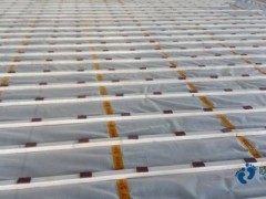 楓木運動體育木地板保養方法