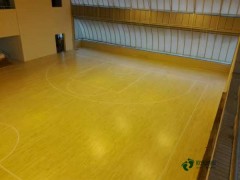 尋求運(yùn)動(dòng)籃球木地板十大品牌