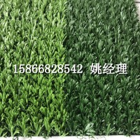 30mm足球場人造草坪