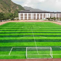 足球場人工草坪