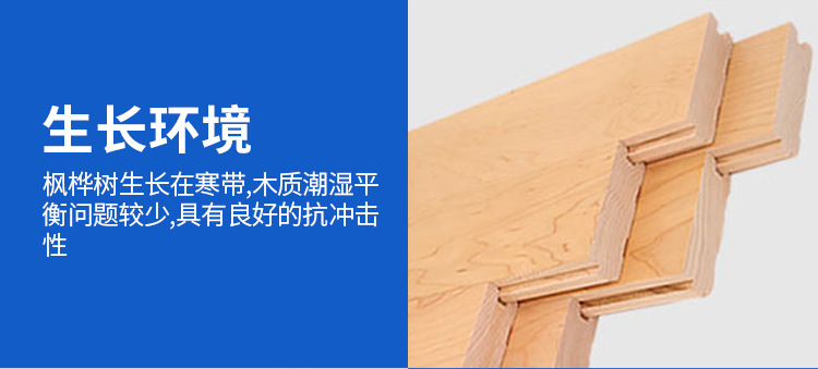籃球館木地板 體育館運(yùn)動(dòng)地板標(biāo)準(zhǔn)做法 籃球場(chǎng)木地板減震墊