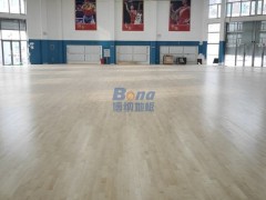 雙流縣體育館地板 博納運動木地板