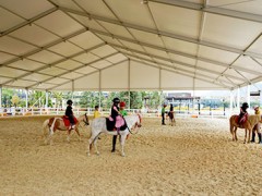 江蘇馬術協會 馬術比賽馬圈大棚租賃公司