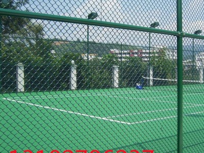 運動場圍網特點-- 艾瑞絲網
