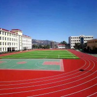 供應河東區epdm顆粒跑道地面施工