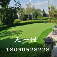 重慶高端人造高爾夫嵌沙果嶺建造   