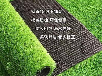 幼兒園人工草坪，幼兒園人工草坪施工，幼兒園人工草坪廠家-- 成都天一佳體育設施工程有限公司