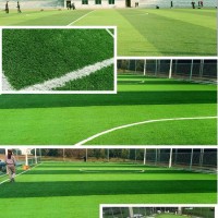 綿陽足球場草坪翻新，足球場草坪廠家批發施工，幼兒園足球場草坪