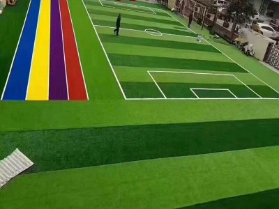 綿陽足球場草坪廠家包工包料價格，廣元足球場草坪廠家包工包料-- 成都天一佳體育設施工程有限公司