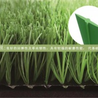 足球場草坪尺寸,足球場草坪施工工藝,足球場草坪廠家