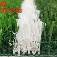 免填充人造草坪,免填充足球場草坪,學校幼兒園免填充草坪