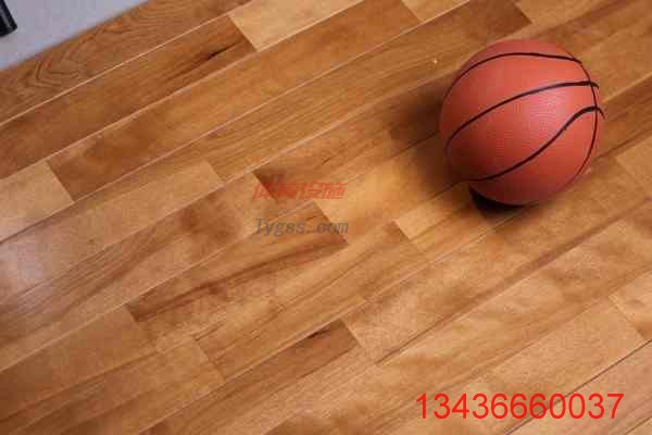 歐氏 室內籃球場地板 體育場專用木地板