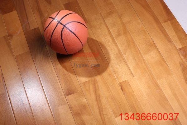 興城歐氏專用運(yùn)動(dòng)地板