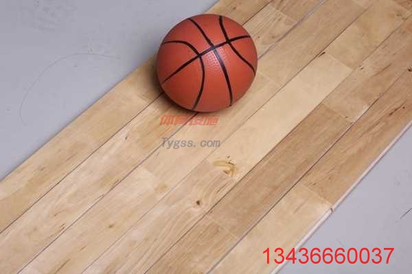 歐氏 舞蹈室專用地板 運動館專用地板