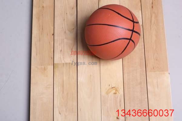 國內羽毛球館運動地板十大品牌