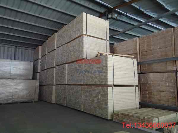 歐氏 舞蹈地板 運動專業地板