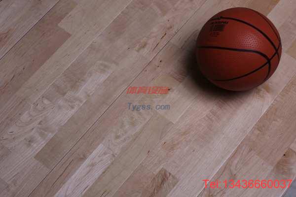 歐氏 舞蹈地板 羽毛球館木地板