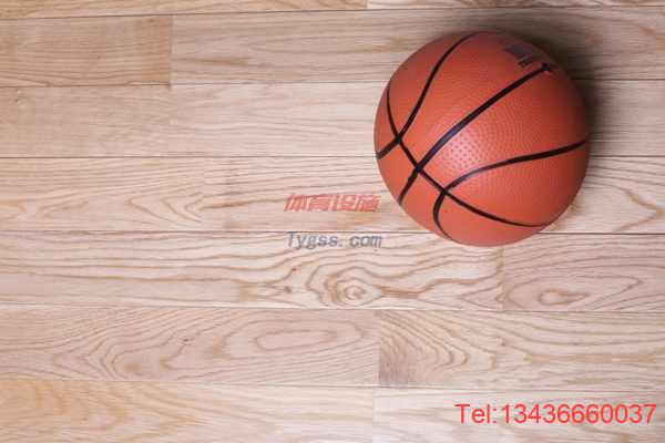 國內羽毛球館體育地板十大品牌