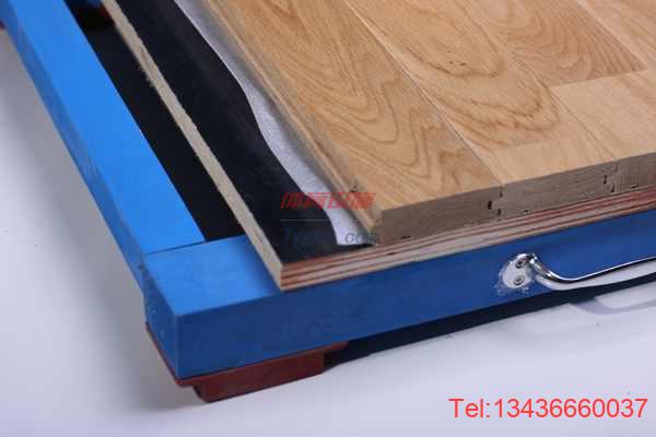 歐氏 舞蹈地板 實(shí)木運(yùn)動(dòng)地板