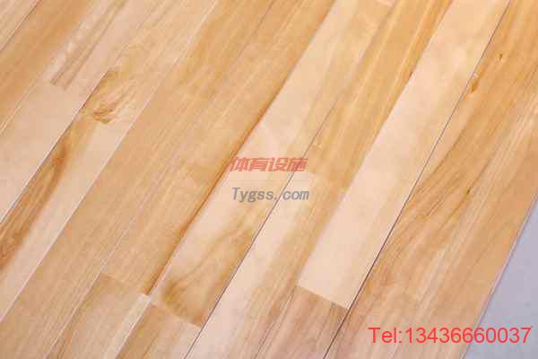 湖南歐氏運動木地板漆