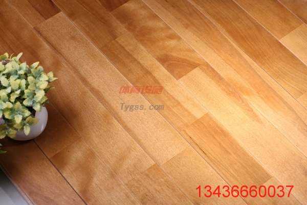 歐氏 專業舞蹈地板 專用運動地板