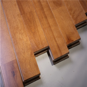 歐氏 舞蹈地板 運動地板價格-- 體育設施網