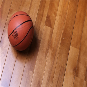 歐氏 專業舞蹈地板 體育場專用木地板-- 體育設施網