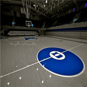 歐氏 舞蹈地板 高端運動木地板-- 體育設施網