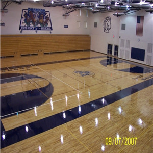 歐氏 專業舞蹈地板 高端運動木地板-- 體育設施網