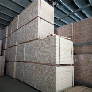 歐氏 專業舞蹈地板 專用運動地板-- 體育設施網