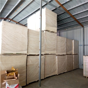 歐氏 專業舞蹈地板 籃球木地板-- 體育設施網