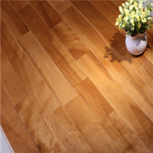 歐氏 舞蹈地板 運動木地板-- 體育設施網