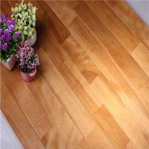 歐氏 舞蹈地板 翻新運動木地板-- 體育設施網