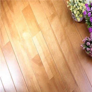 歐氏 舞蹈教室地板 運動地板多少錢-- 體育設施網