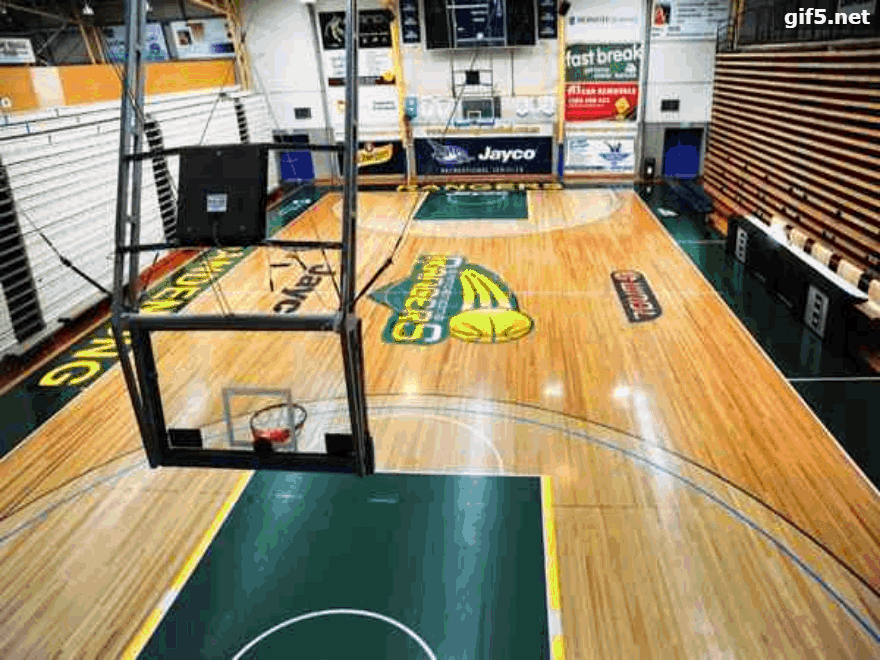 籃球場運動木地板施工案例